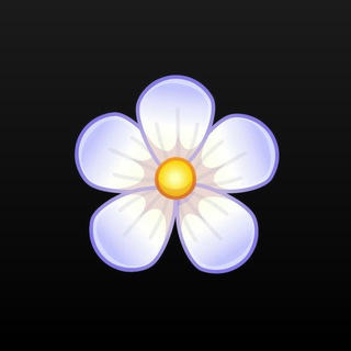 Adventures in Dystopia