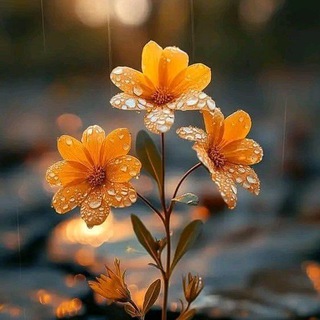 Circle Business Group