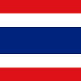 泰国华人互助群🇹🇭🇨🇳