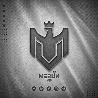 Merlin ViP